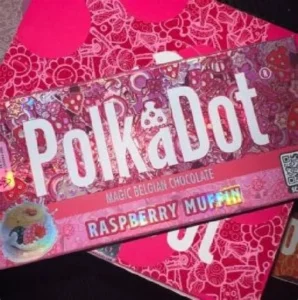 Buy Polka Dot Raspberry Muffin Chocolate