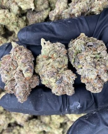 Buy Frozen Grapes Strain